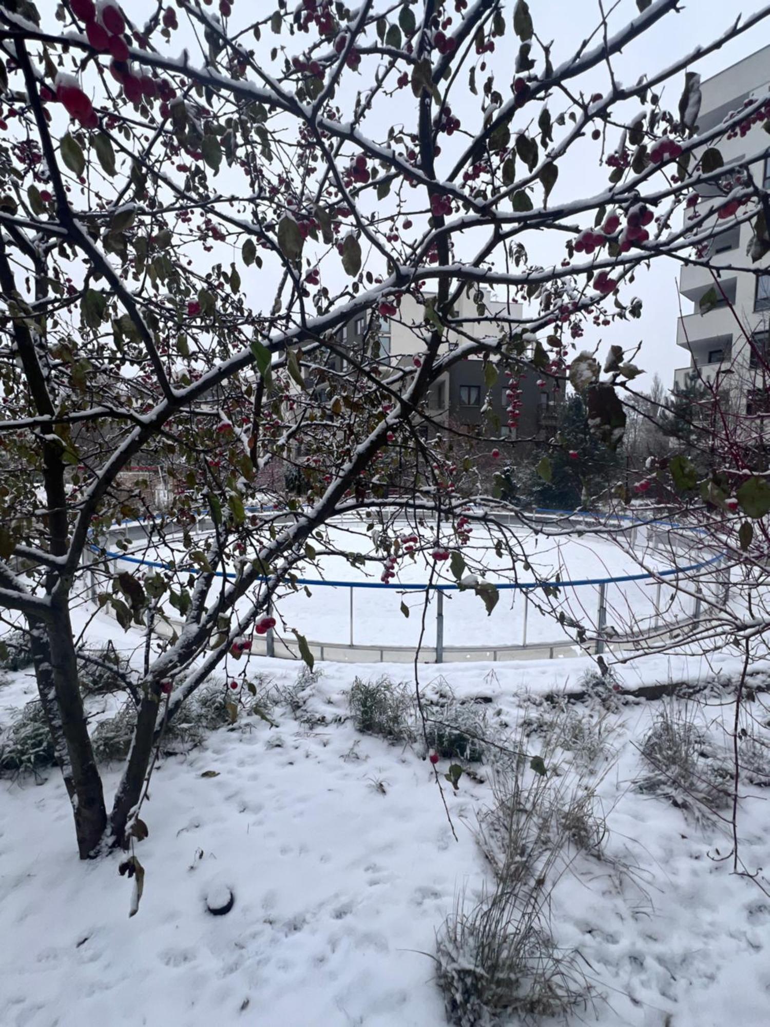 Lake Park Apartament With Free Parking Airport Netflix Daire Varşova Dış mekan fotoğraf