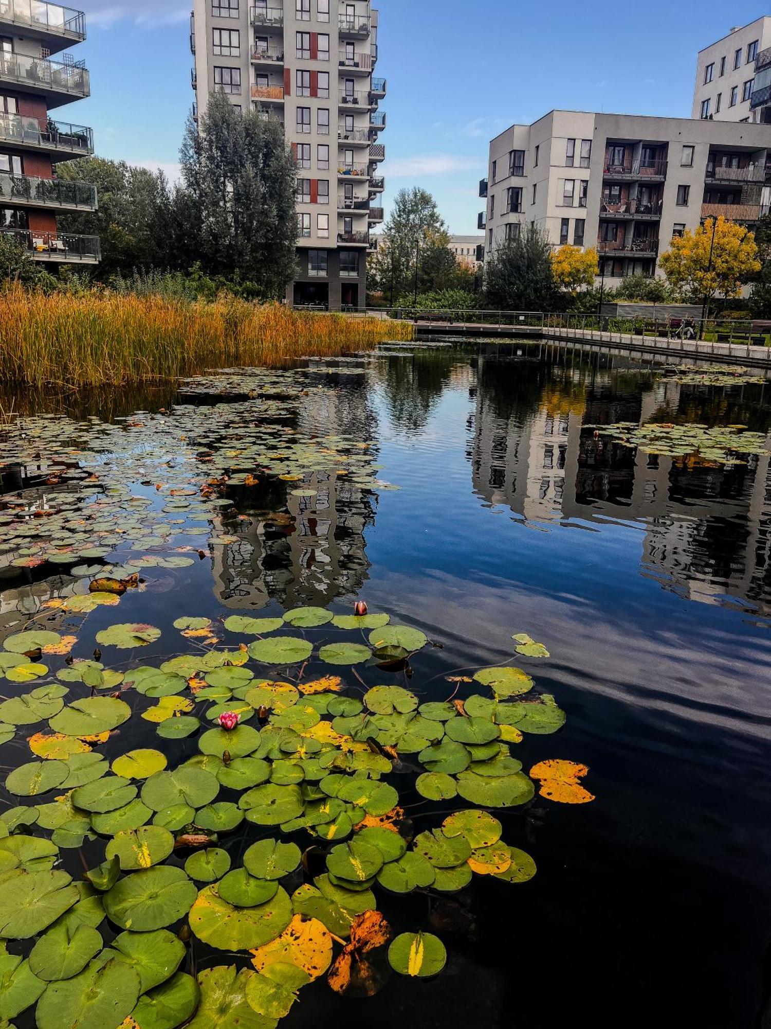 Lake Park Apartament With Free Parking Airport Netflix Daire Varşova Dış mekan fotoğraf